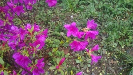 자매들의놀이터 - 200424 - 1 : 어린이과학동아 어린이과학동아 - 웃기는 과학, 똑똑한 만화!