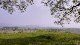 별별팀 - 200502 - 1 : 어린이과학동아