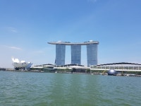 .. 난생 첨으로 : 어린이과학동아