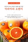 빨간맛의 유혹 고당도 카라카라 오렌지 25과 (중소과) - NS홈쇼핑 빨간맛의 유혹 고당도 카라카라 오렌지 25과 (중소과)  - NS홈쇼핑