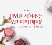 숲에서 놀자 | 국립산림과학원 웹진 숲에서 놀자