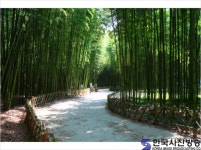 치유의 숲 - 한국사진방송 대한민국예술