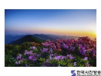 함백산의 여명 - 한국사진방송 대한민국예술