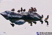 지리산 엄천강에서 쉼 - 한국사진방송 대한민국예술