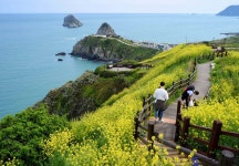 오륙도의 봄 - 한국사진방송 대한민국예술
