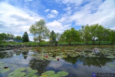 연못이 있는 풍경 - 한국사진방송 대한민국예술