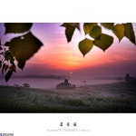 안성목장 - 한국사진방송 대한민국예술