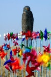 파주 문산 여행 - 한국사진방송 대한민국예술-