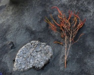 제20회송파전국사진공모전 시상과 제11회송파구사진작가회 회원전 개막 - 한국사진방송 대한민국예술-