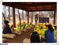 어린이 숲 유치원’에서 자연에 대한 호기심 충족 - 한국사진방송 대한민국예술-