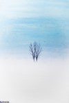 ‘감몽(酣夢), 그리고 나무’ 김형준 초대展 작품리뷰2 - 한국사진방송 대한민국예술-