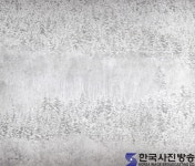 ‘J Collections 2015_풍경에 머물다’ 展 - 한국사진방송 대한민국예술-