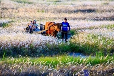아, 우음도 - 한국사진방송 대한민국예술