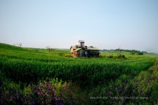 팜랜드 - 한국사진방송 대한민국예술