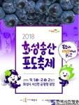 달콤한 포도향기 가득, “2018 화성송산포도축제로 놀러오세요!” - 한국사진방송 대한민국예술-