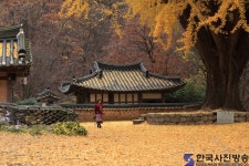 운곡서원에서 - 한국사진방송 대한민국예술