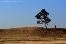 토성 - 한국사진방송 대한민국예술
