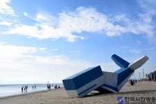 뭍에 올라온 고래한마리 - 한국사진방송 대한민국예술