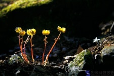 육남매 이야기 - 한국사진방송 대한민국예술