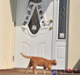 노을이 아름다운 언덕위의 하얀 집, - 한국사진방송 대한민국예술-