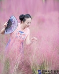 양주 나리 공원의서 - 한국사진방송 대한민국예술