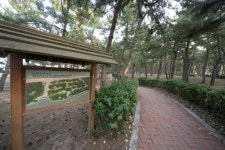 연곡해변, 단체의 야영지로 최적인 해변 - 콕콕! 지역정보 | 구석구석 떠나볼까 | 대한민국구석구석