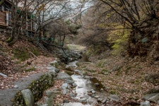 광치계곡, 양구군 남면 대암산 줄기로 이어지는 계곡 - 콕콕! 지역정보 | 구석구석 떠나볼까 | 대한민국구석구석