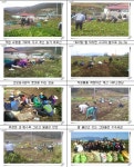 [호남청 여수사무소] 농촌일손돕기 나눔봉사활동  호남지방통계청>나눔·봉사>새소식>통계청