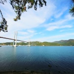 스푼 CAST [기타] 행복한 마음 20201124 | 포도알갱이park