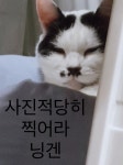 스푼 캐스트 | DJ 멍티슈ઐツ๑님의 노래하쟈요리방(라콜노래장기자랑)