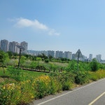 스푼 캐스트 | DJ 다힘 곰이의님의 오디오 콘텐츠