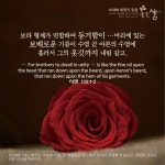 스푼 캐스트 | DJ 🌷Angel Song🎵CCM⚘️님의 🎄시편 133편 ~135편3절🎄