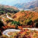 스푼 CAST [커버곡/연주] 추 풍 령 20230214 | 朴 仁泰 스푼 CAST [커버곡/연주] 추 풍 령 20230214 | 朴  仁泰