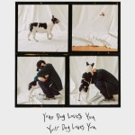 스푼 캐스트 | DJ ykho*****님의 Your Dog Loves You