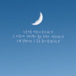 DJ 행복한밤╭❃˖의 스푼 CAST | 스푼 Spoon