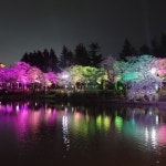 스푼 캐스트 | DJ ű단미໓๓♡꙳님의 [더빙] 티격태격하는 이성친구