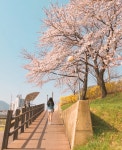 스푼 캐스트 | DJ 하 시 코 기의님의 🎧플리 (신청곡) + + 🌞