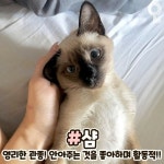 스푼 캐스트 | DJ Skyblue님의 다같이 노래나들어요~