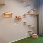 제이티의 프로필 | 스푼 Spoon