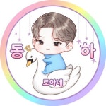 로아네 동 하 🦢의 프로필 | 스푼 Spoon
