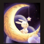 🌙달토끼🐰의 프로필 | 스푼 Spoon