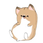 컵도그의 프로필 | 스푼 Spoon