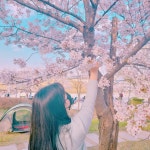 소봄의 프로필 | 스푼 Spoon