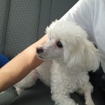 라은만의 공백 💞 ғʟᴀᴇᴜɴ의 프로필 | 스푼 Spoon