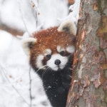 Night(@62YMN7)의 프로필 | 스푼 Spoon