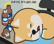 원터3의 프로필 | 스푼 Spoon