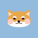 🐶댕댕쓰🐶의 프로필 | 스푼 Spoon