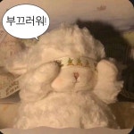 ñ 구미베어 ✨(@8ox7mo3z6wa3c6d)의 프로필 | 스푼 Spoon ñ   구미베어 ✨(@8ox7mo3z6wa3c6d)의 프로필 | 스푼 Spoon