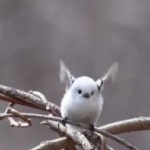글쎄요저야모르죠(@73xyoyx)의 프로필 | 스푼 Spoon
