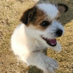 승찬의 프로필 | 스푼 Spoon